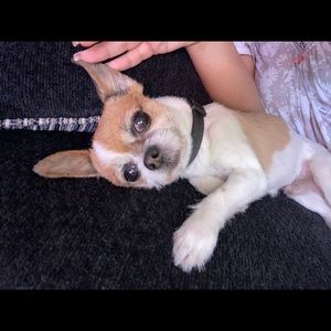 Meet your Posher, Edith